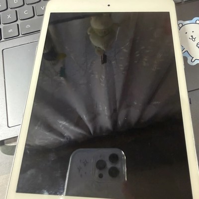 iPad mini2回收估价