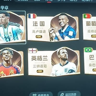 世界杯足球强国排面水平