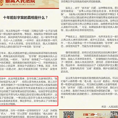 彭宇案十年真相探析
