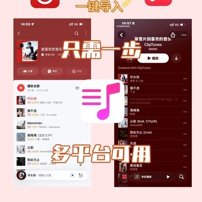 Apple Music歌单一键导入