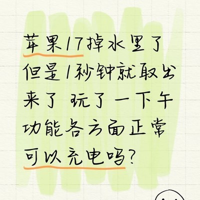 手机进水后会损坏吗