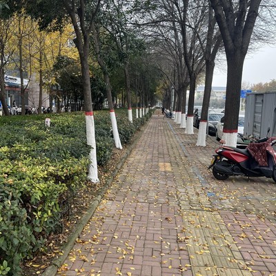 赡养义务是否应由兄弟共同承担？