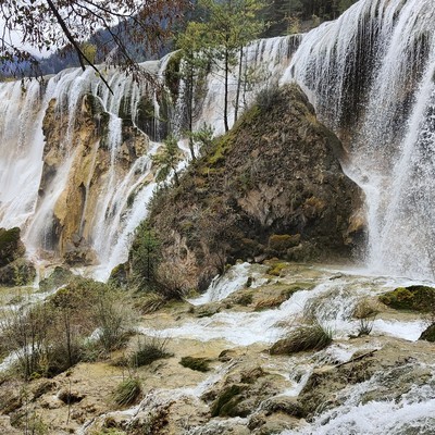 迪子质量需提升