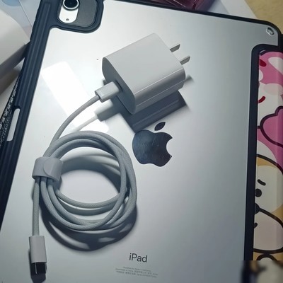 iPad充电器省钱妙招