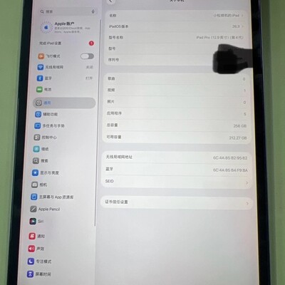 iPad Pro 2020紫屏闪退维修