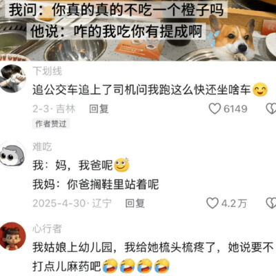 东北人熬夜背梗真相