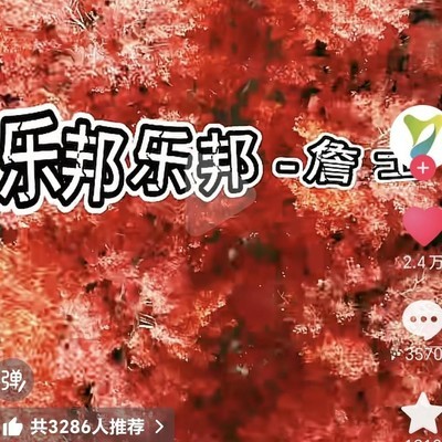 阳澄湖文旅的困境