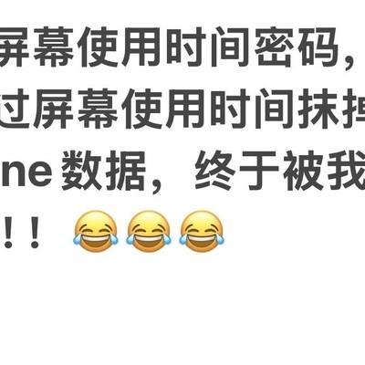 跳过屏幕使用时间密码抹除iPhone数据