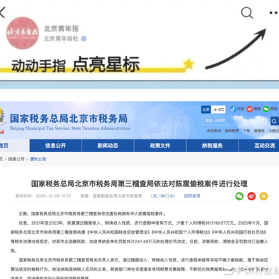 陈震偷税被罚247万元