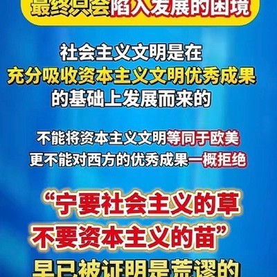 自主发展需开放