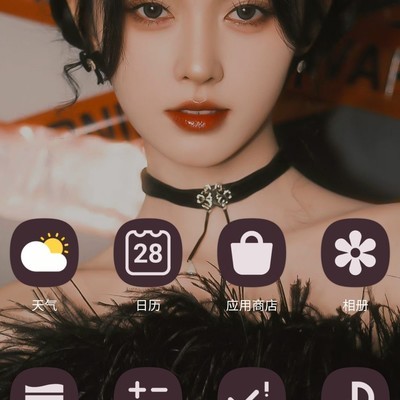 OneUI5.0美化方案分享