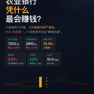 农行低净资产高ROE之谜