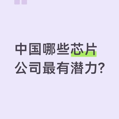 国产芯片企业潜力全景