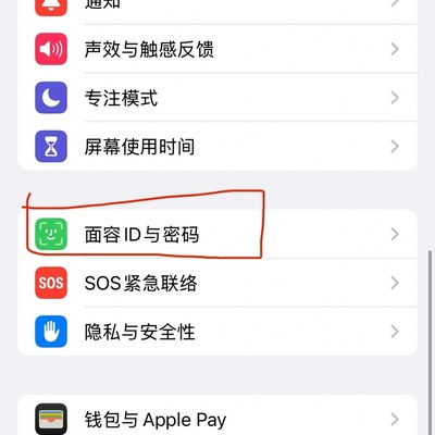 恢复面容ID与密码选项