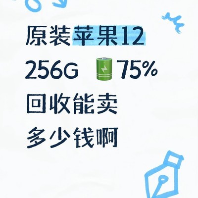苹果12 256G回收价咨询