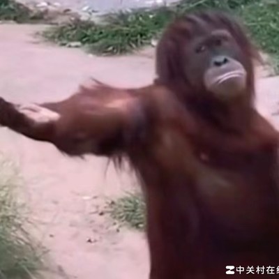 逻辑悖论与社会认知