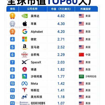 全球市值前60公司图解