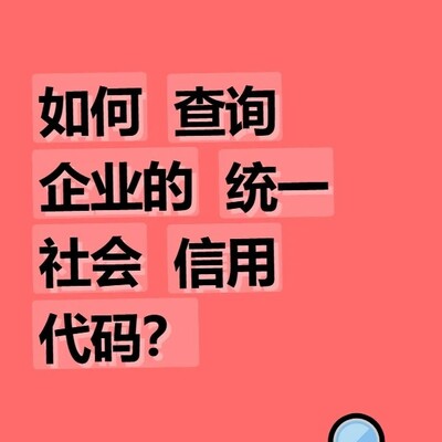 企业统一社会信用代码查询方法