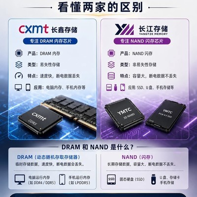 长鑫与长江存储分工解析