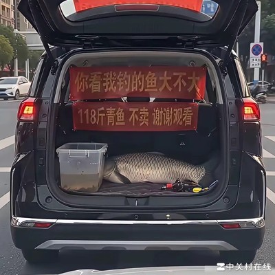鱼臭之前不回家