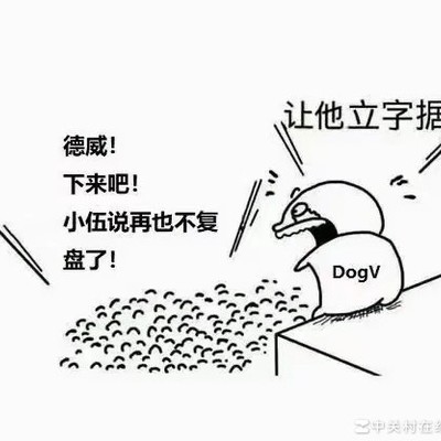 4AM碾压夺冠，八冠王登顶
