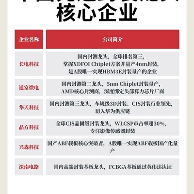 国产先进封装龙头企业