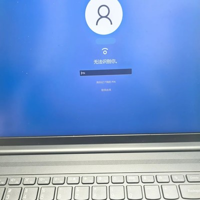 PIN码仅支持数字输入