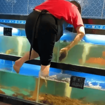 超市员工光脚踩虾缸擦玻璃