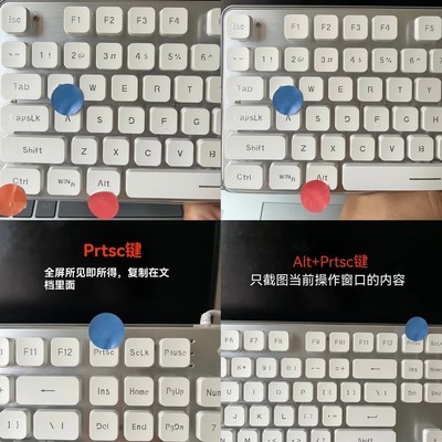 电脑小白必备截图技巧