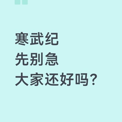 寒武纪股价分析与关键点位