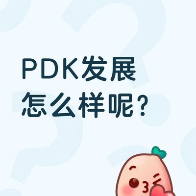 PDK工程师职业发展前景