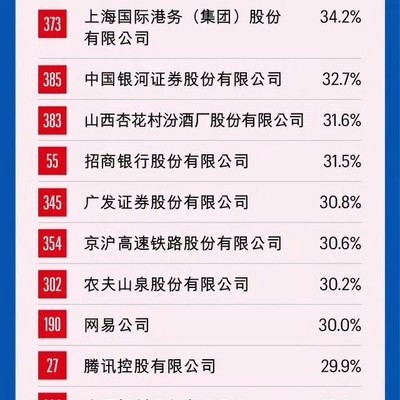 净利润率最高的公司