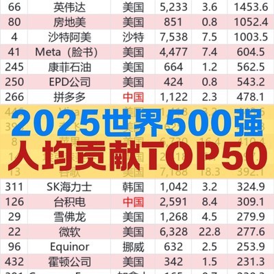 世界500强人均利润TOP50