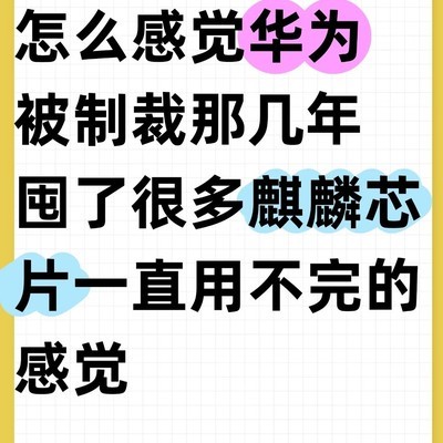 华为囤积麒麟芯片之谜