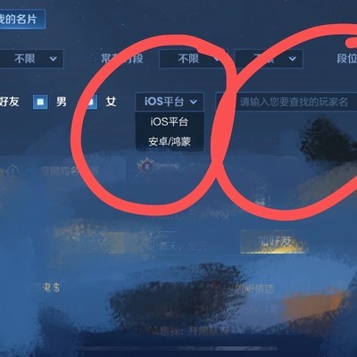 王者荣耀跨平台加好友