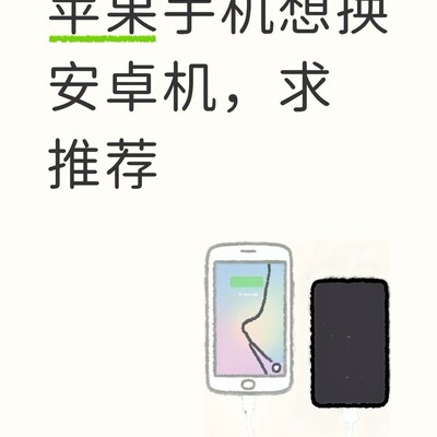 安卓旗舰长期使用推荐