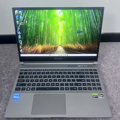 蛟龙15Pro游戏本4399