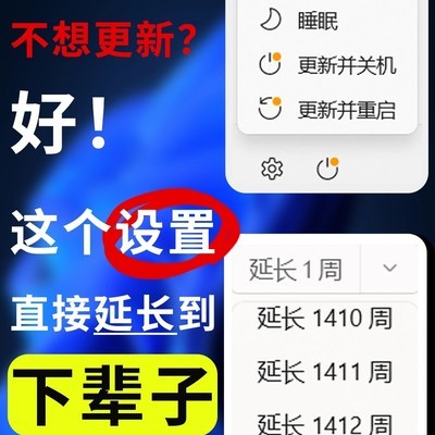 Win11暂停更新终极设置