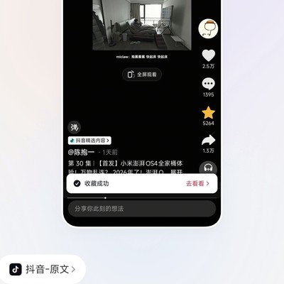超级小爱记忆加载失败？