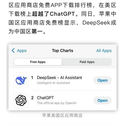 国产AI DeepSeek爆火登顶