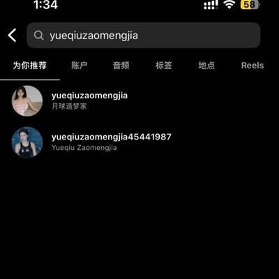 Ins中文搜索设置方法