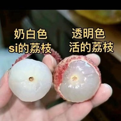 果农回应活荔枝死荔枝争议