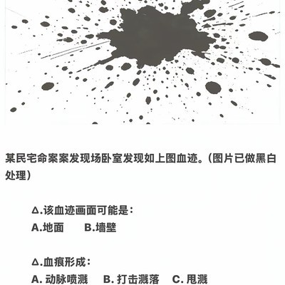 血痕分析，法医视角下的真相揭示