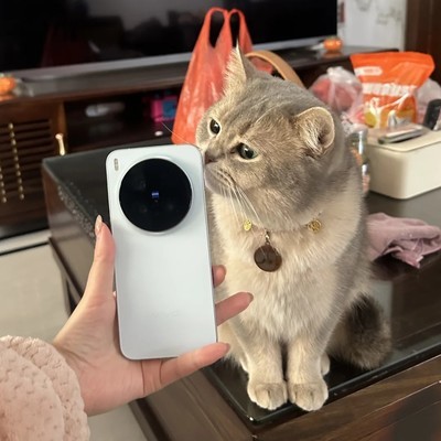 vivo X300 Pro真实体验