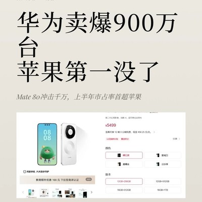 华为逆势降价登顶第一