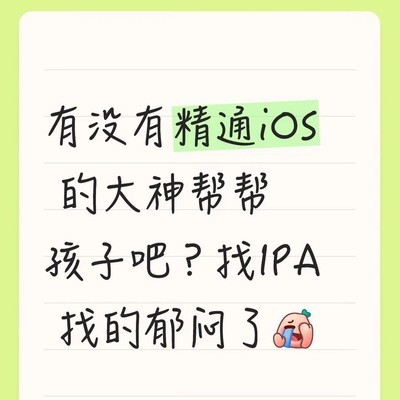 iOS IPA资源安全获取指南