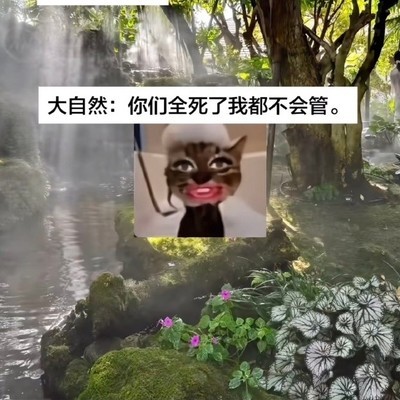 恐龙灭绝与丁克有关吗