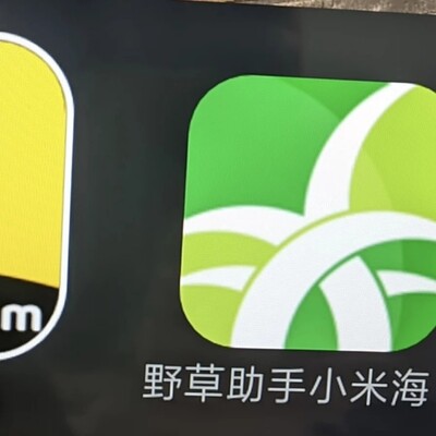 电视应用已装满不闲置