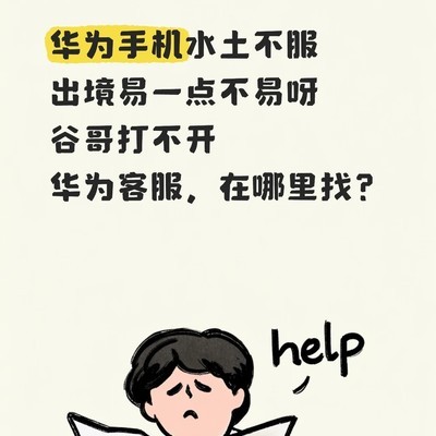 华为海外使用体验