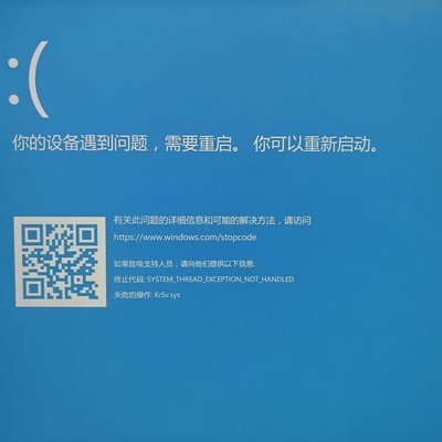 虚拟机绕过D加密致系统崩溃